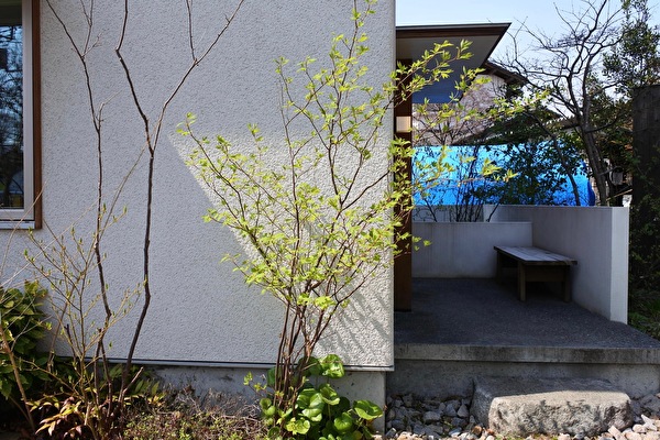 3JRHDfiGDgufiNB1616800102