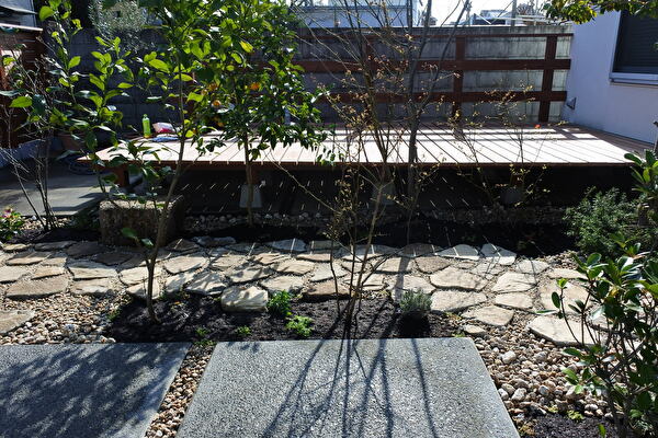 キッチンガーデン