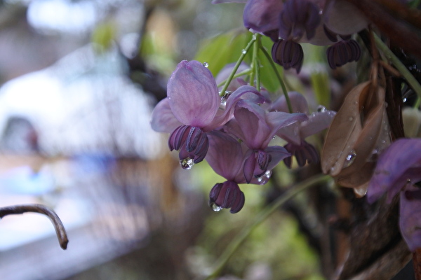 AOhmzHFL1mEAVyr1616314652