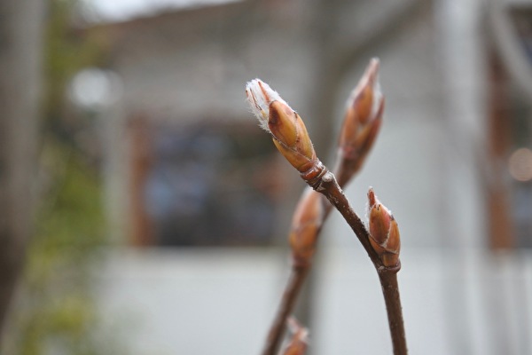 EAovHBOwT1lcjj51615186288