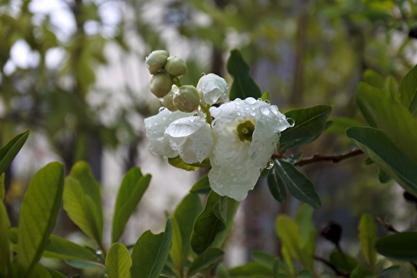 EXGY8aWToLEh5zn1616314600