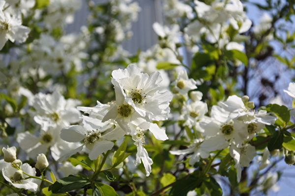 KieL3k18FkDy0bS1616800167