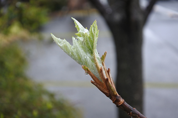 hXgqAUrFFHl0cvw1616314683