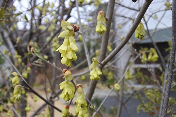 mxeKXjqfKew5BGJ1615186347