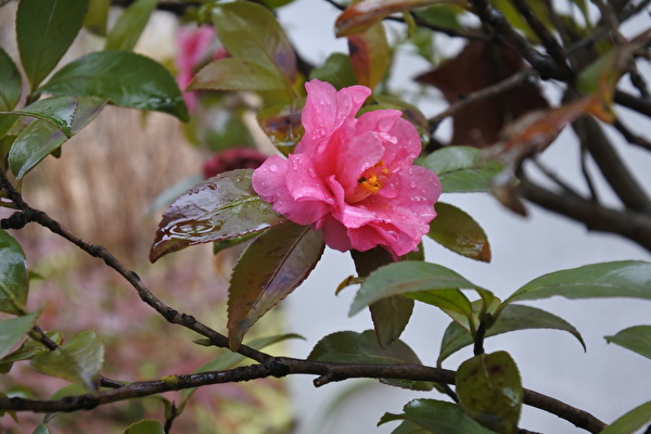 rJE4qxJQR3f84471615186141