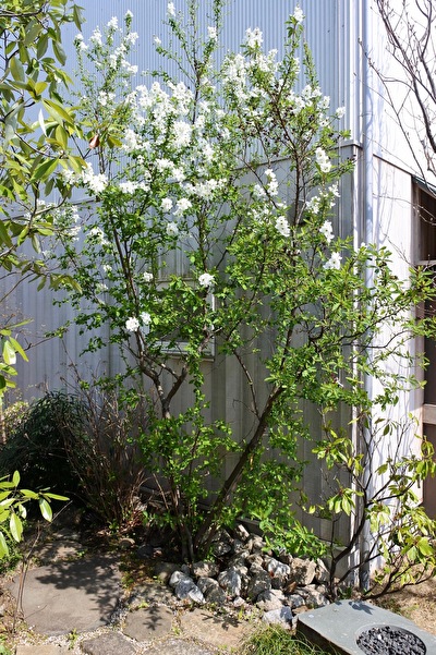 sQNe5Mq5dZ0GOLo1616800256