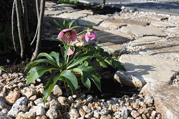 uNjWHUK0fzZzItG1616122000