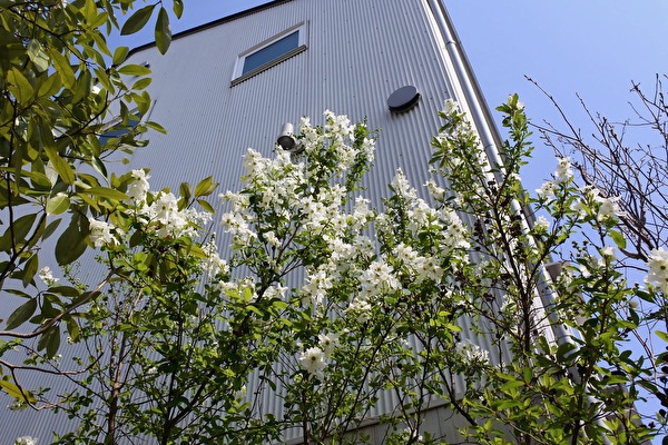 uwacb70VkLFAyzQ1616800136