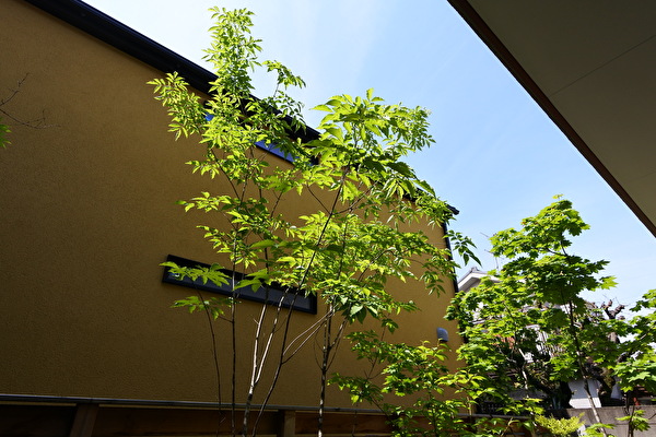 T1Ii9Z3aIou1XcL1619655196