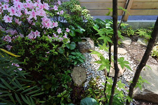 TJ5oE2mWrNHC7yd1619655287