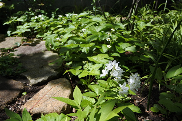 TQ1X08j6DI4z0g01619655112