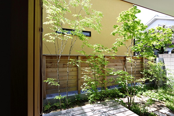 コートガーデン