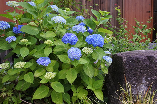 001Mb5iqZHeq0Bi1621311699