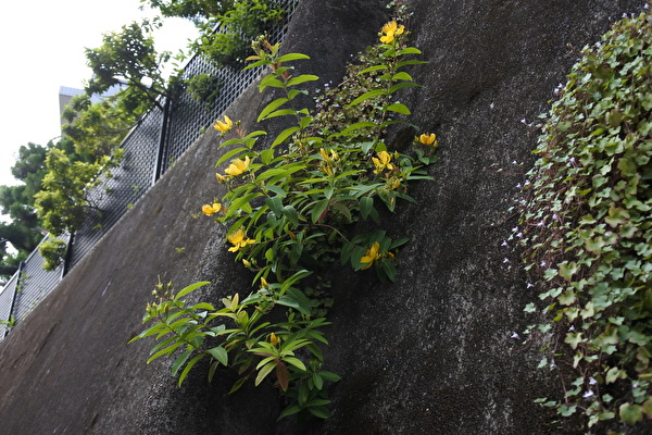 7SqqAXQRsO1UjRC1622099113