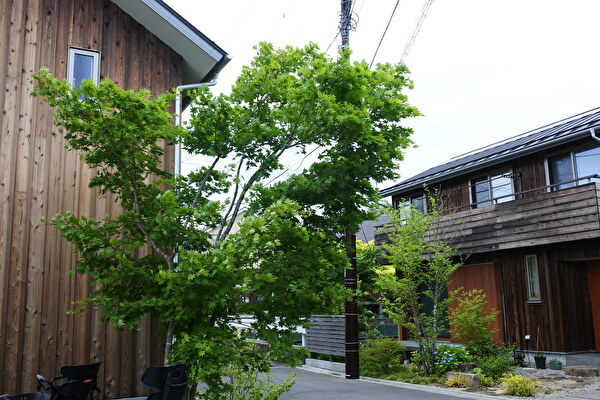 7qwhfRznifSRFPV1621311789