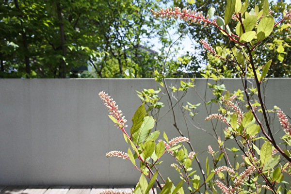 KYH7MaBz1Luu8Z61620283356