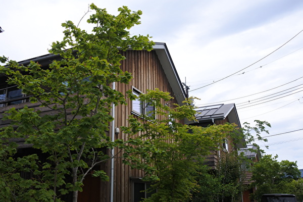 WHzkDCprO803UWz1621311759