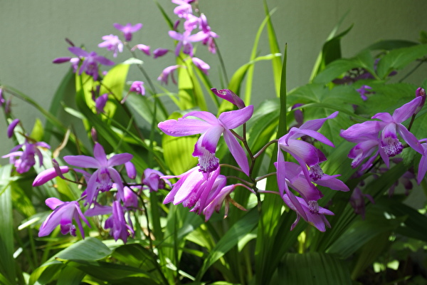 p0DwT9l8fldMPlY1620283245