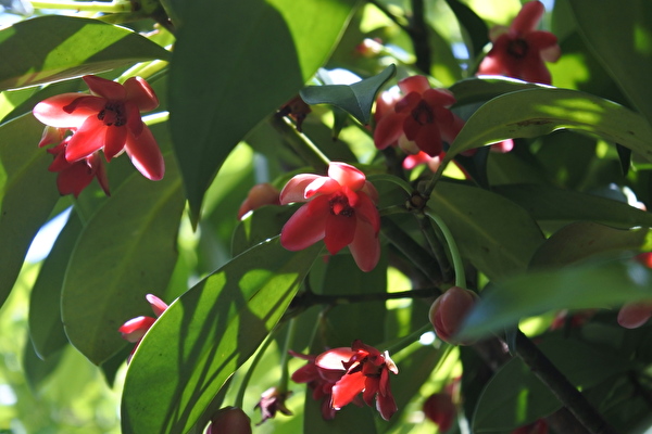 qrdRqgOf8pBxMNd1620283333