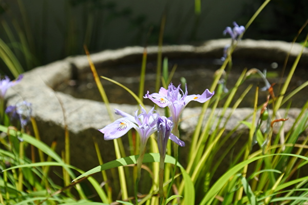 ufptI2Y4UJsoi1S1620283304