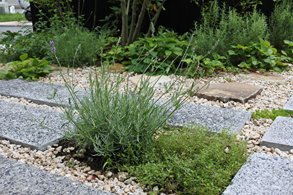 05nlD02yxxnrwDS1624786955