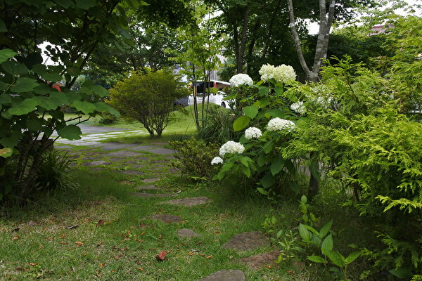 90YH2VhJ2oilVxS1624437260