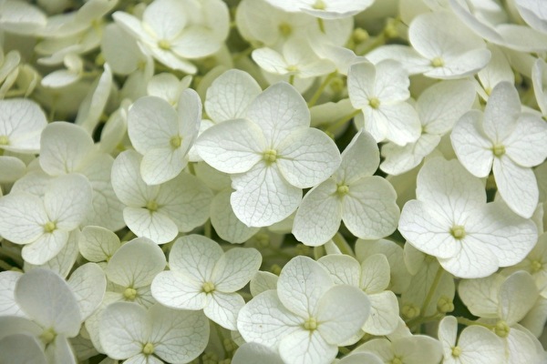 Du2G2q498XpX8al1624437227