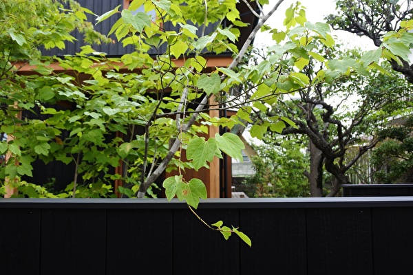 EWP7Dj3VnFJjfUv1624786921