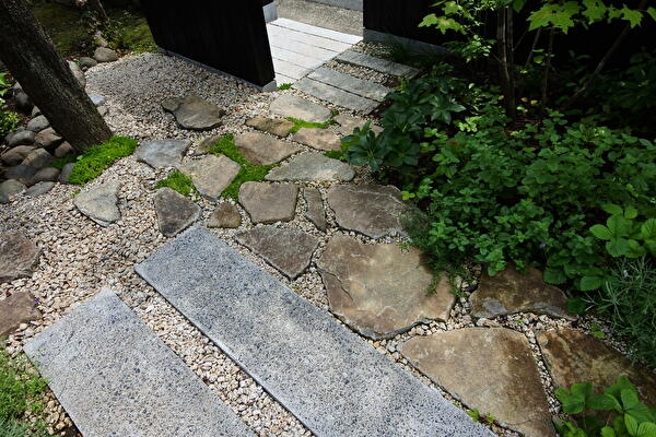 x3yj0KLhPxnptxT1624786897