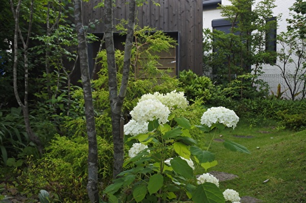 アナベルの法則