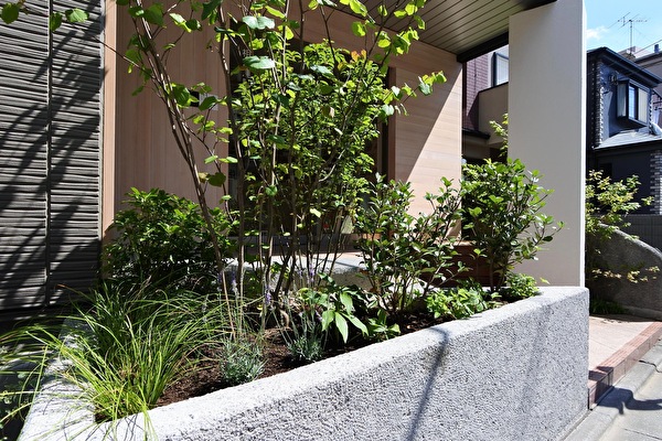 Nqe6s2HrJgGyLh51626513198