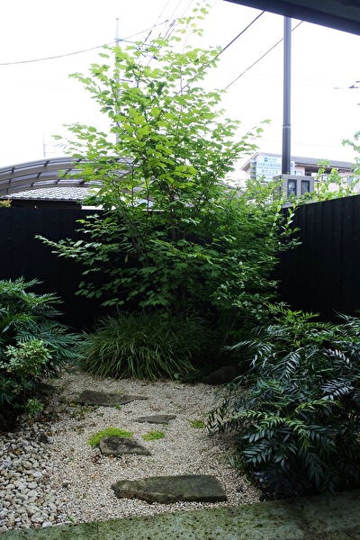 XIKrUM1zL9c3ypG1625562505