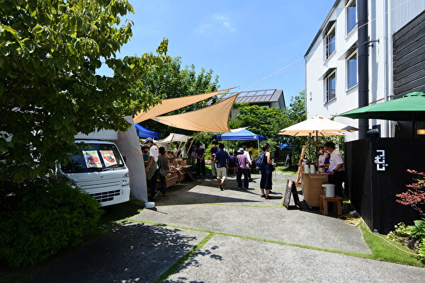 ZKpnB8jdtvtpYJg1626513316