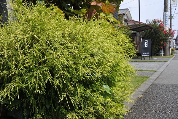 2YWrg9zMVCUZajI1630202566