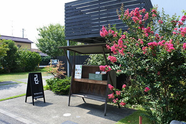 bu50UTQFcmQZ53t1630202598