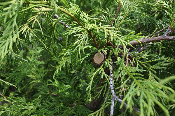 5doXpDIPkG0Riue1631345111