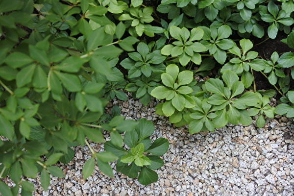 9S12wwgVrwtvknl1631436455