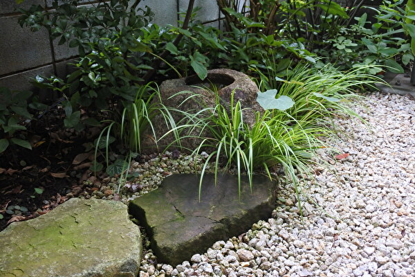 下草たちの顔色の良さに