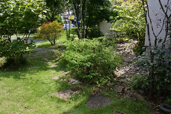 vO9M7cAx6vjCTFG1631345095