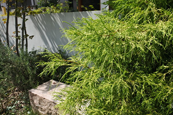 w0YdQB4butAiaVg1631345065