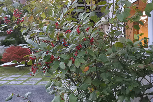 GKJkfIX0yCQNbAt1635039028