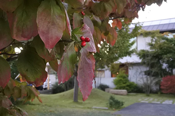 霜降（そうこう）