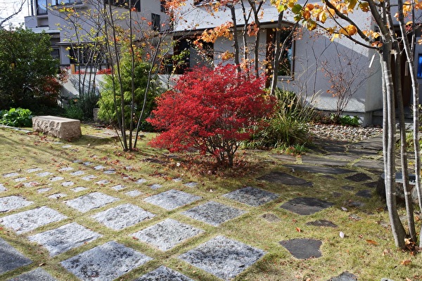 1rUX1ywrlpJvPRY1637738867