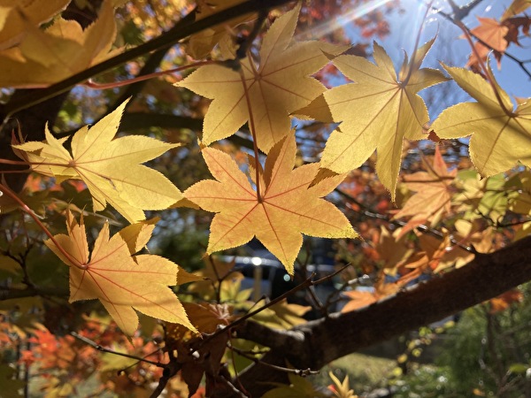 5aZiDfxprrwJUPh1636961066