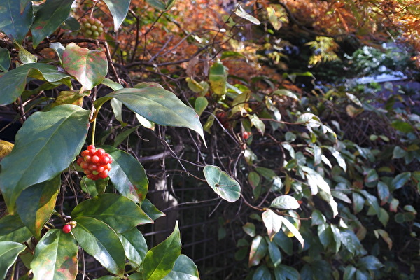 ARMuSXojMYYuxxJ1637398366