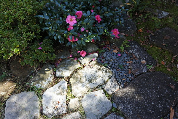 「つぶ庵」秋の手入れ