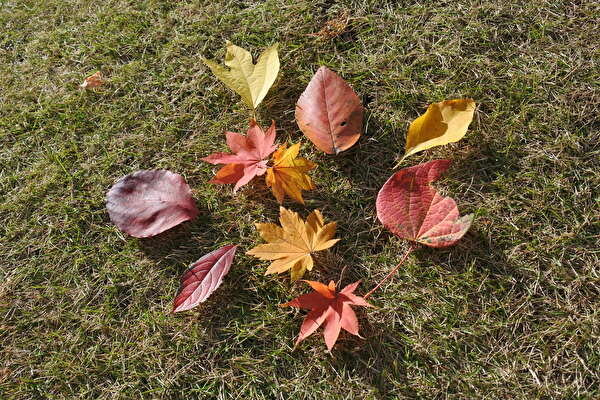 L77mh92VS1V1vQ31637738822