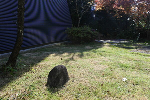 SrdzZIqLLSW443U1637398263