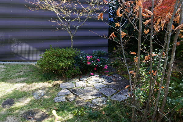 Xdl2suDrJ6Be4JF1637398326