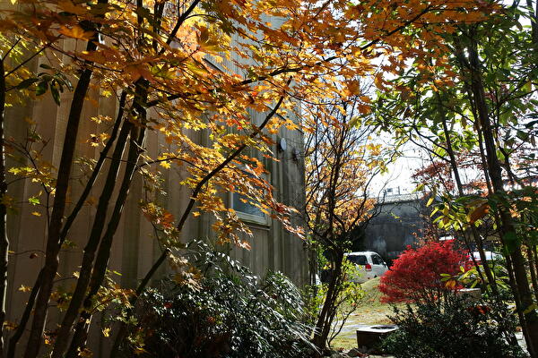 ZchQtKNO2QGARlX1637738847